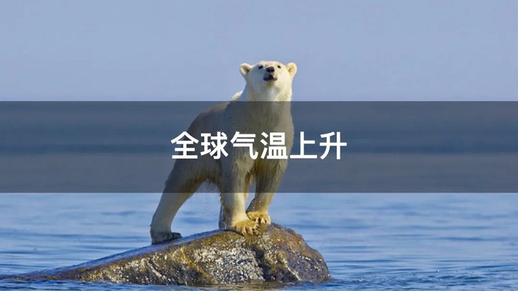 螞蟻商聯(lián)攜手金好來超市發(fā)起“以竹代木，翠我山河”植樹節(jié)活動，從改變生活習(xí)慣開始！喊你為公益接力~
